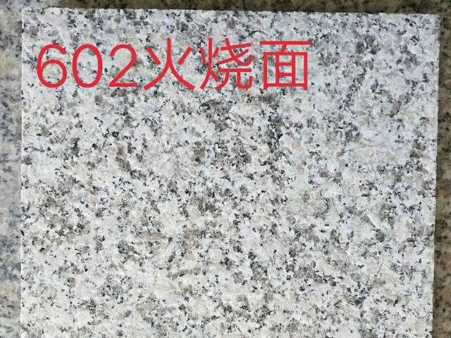 芙蓉白602 火燒面
