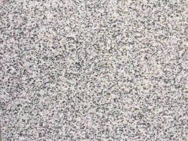 芝麻白603